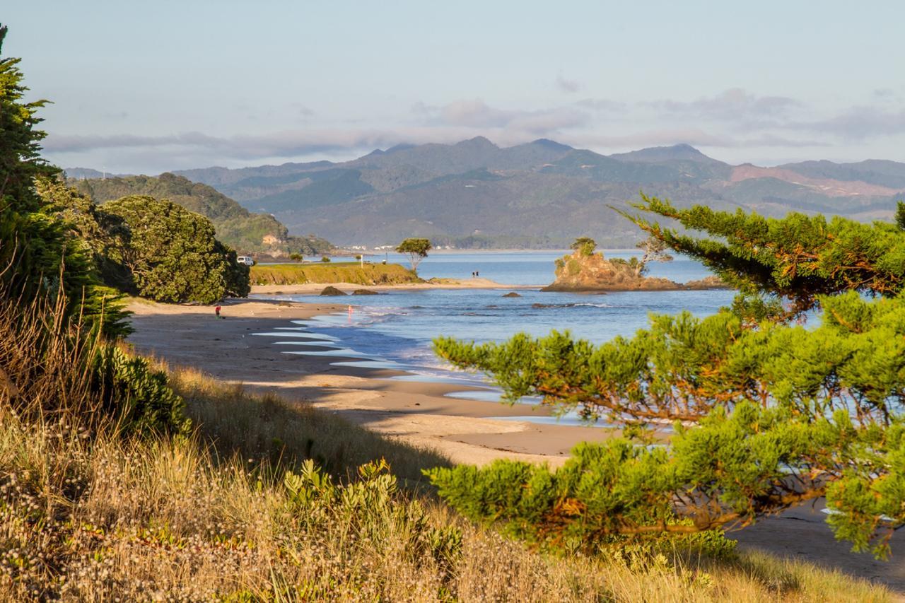 Taigh Na Mara Bed And Breakfast Whitianga Dış mekan fotoğraf