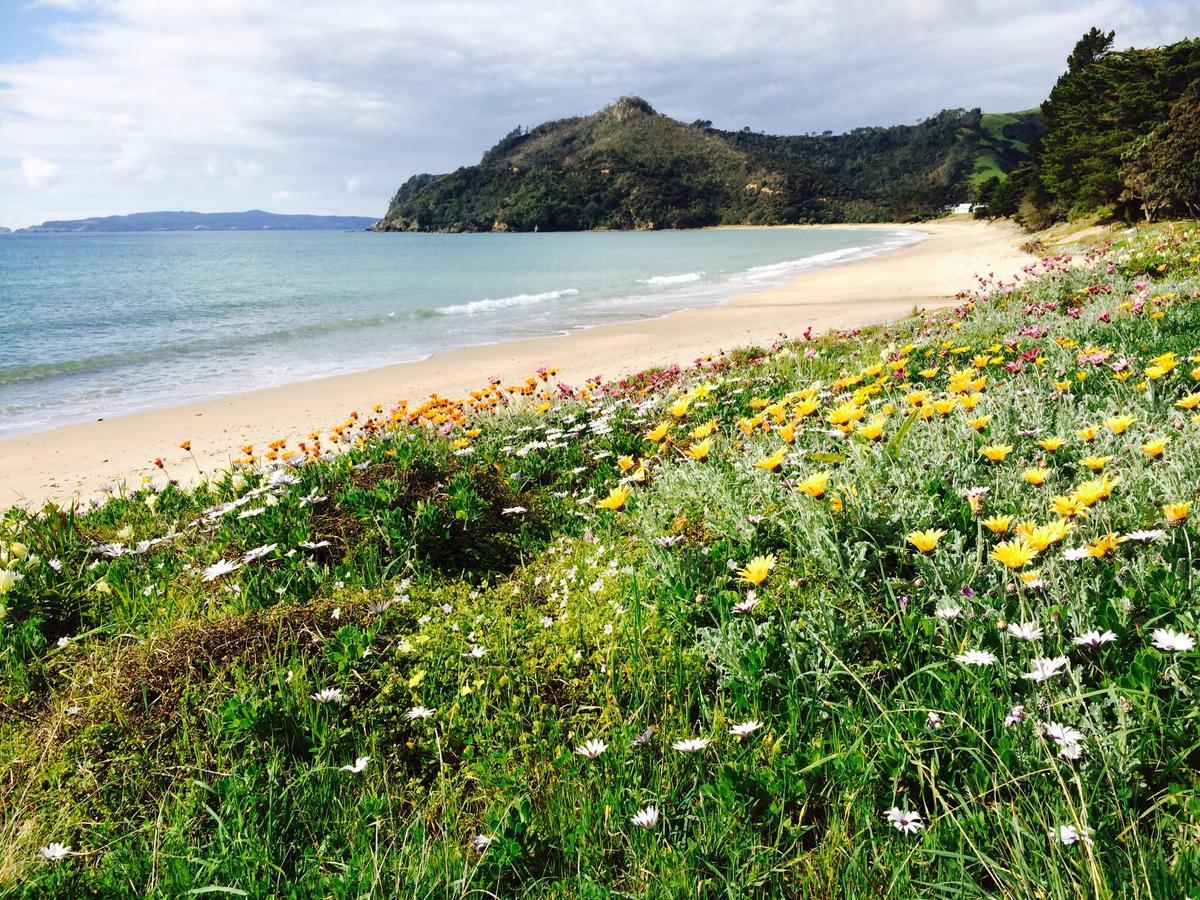 Taigh Na Mara Bed And Breakfast Whitianga Dış mekan fotoğraf