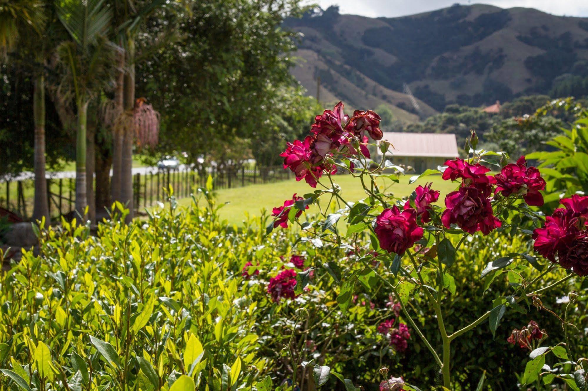 Taigh Na Mara Bed And Breakfast Whitianga Dış mekan fotoğraf